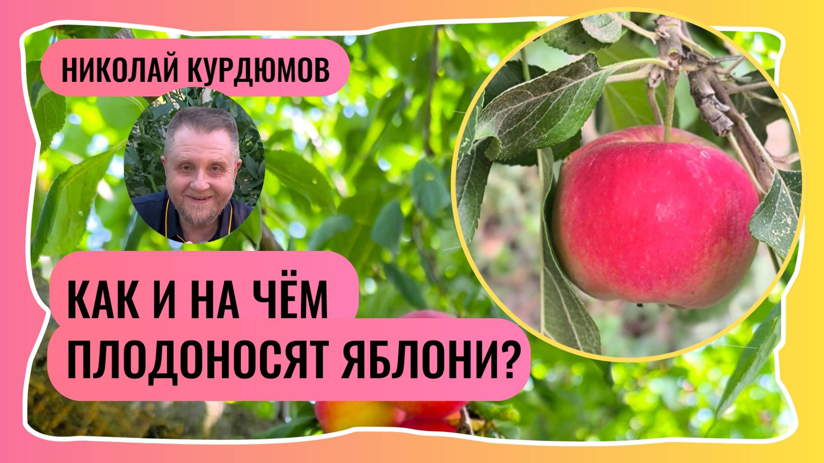 НА ЧЁМ ПЛОДЯТ ЯБЛОНИ.