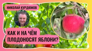 НА ЧЁМ ПЛОДЯТ ЯБЛОНИ.