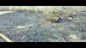 Боровский район,д.Кривское,апрель 2021