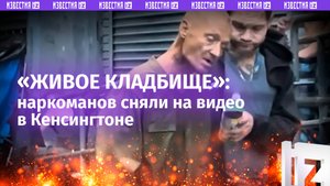 «Американская нарко-мечта» — они точно такого хотели?