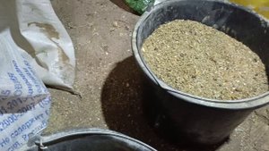 Выгодна ли мешанка для кур