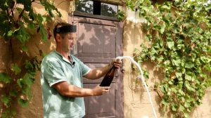 Домашнее шампанское | Открываем и пробуем | Результат прошлого года | Дегоржаж