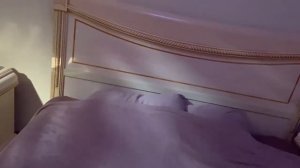 Фильм для конкурса Dedolight о световом решении фильма Zoya_s happiness