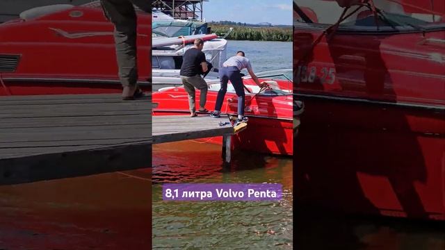 Красная ракета на старте Crownline 275BR #катер #яхта #брокераж #shortvideo #boat #bowrider