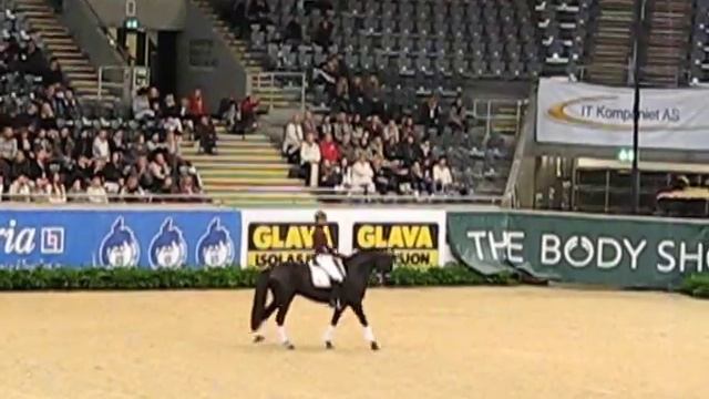 Edward Gal Klinikk Oslo Horse Show 2010 - 4 смотреть онлайн