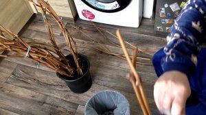 Проращивание черенков винограда | Народный способ