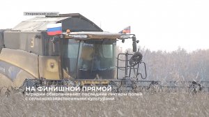 Аграрии обмолачивают последние гектары полей с сельскохозяйственными культурами