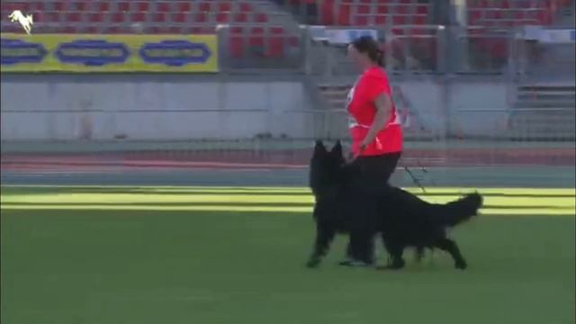 Marcello vom Legends Team ( TSB - BSZS 2021 ) смотреть онлайн