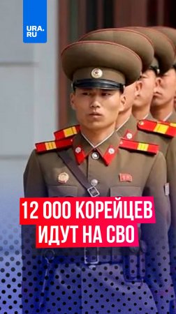 Северная Корея отправит 12 тысяч военных для участия в СВО