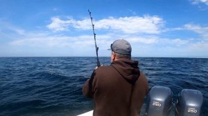 Mako Shark Fishing Off Newport Beach In Southern California