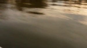 Испытание винтов, рабочее(5)