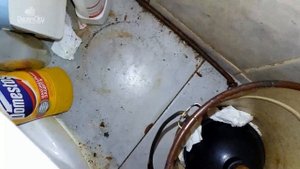 О тараканах  Где они могут жить и прятаться