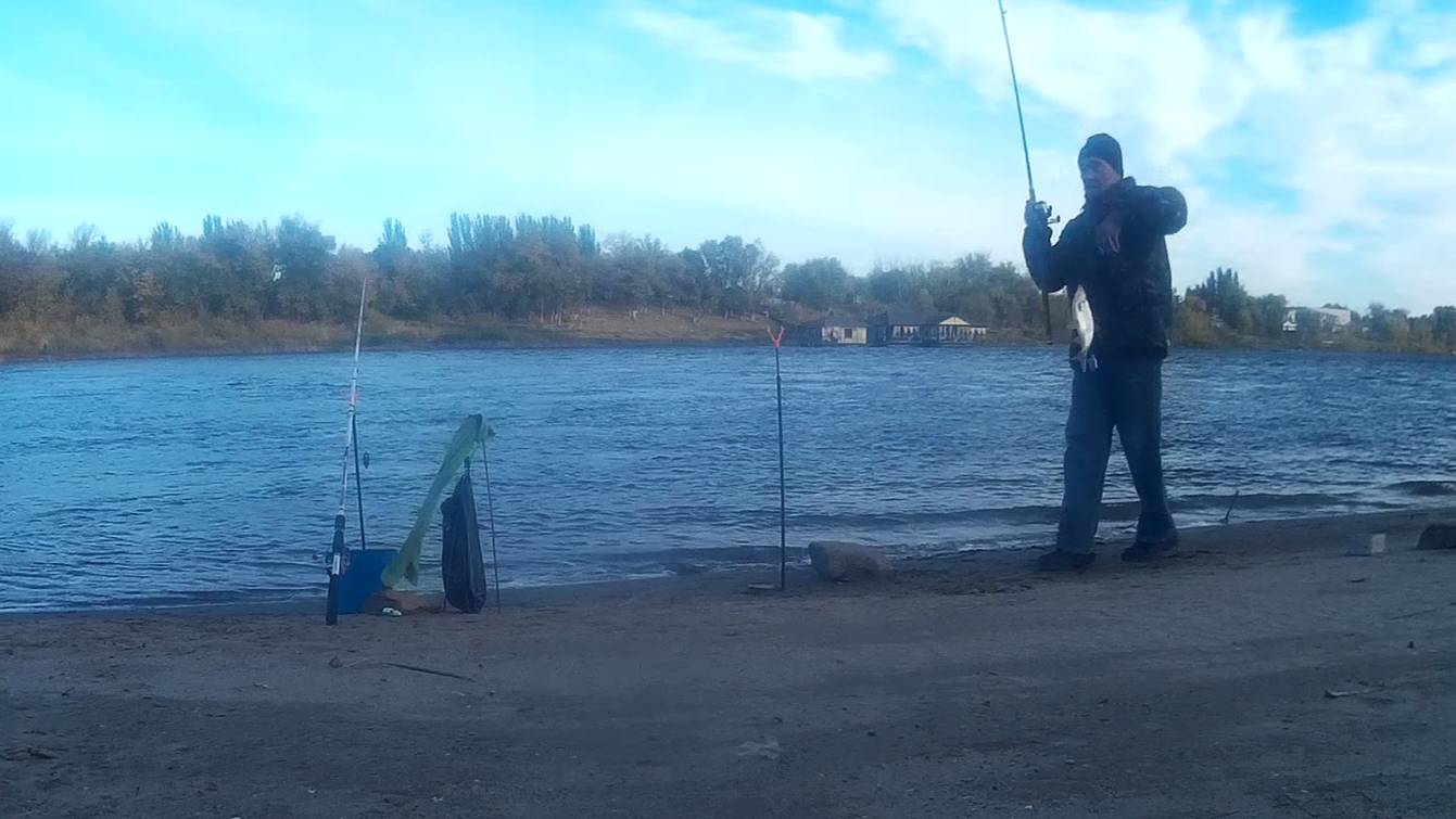 Плотва на Ахтубе как из пулемета на две донки.