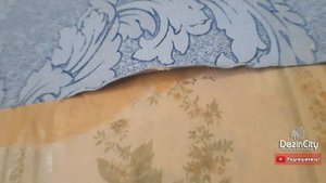 Как правильно бороться с клопами в общежитии: пример эффективного уничтожения