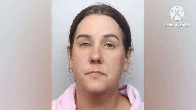 Tory politicians wife jailed for race hate post