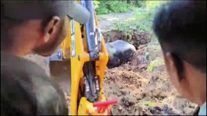 Спасение слона