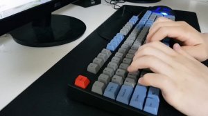 Leopold FC900R PD Typing (Cherry MX Brown)