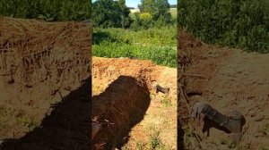 Саманная баня. Тонкости и хитрости.