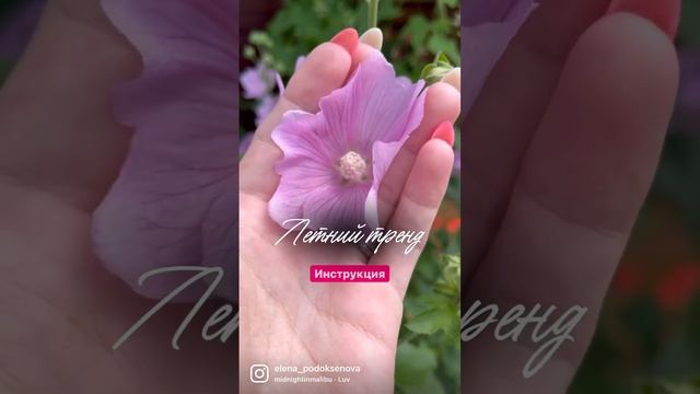 Как сделать обратное видео. Инструкция. Тренд видео