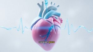 Немного интересного о ВОДЕ