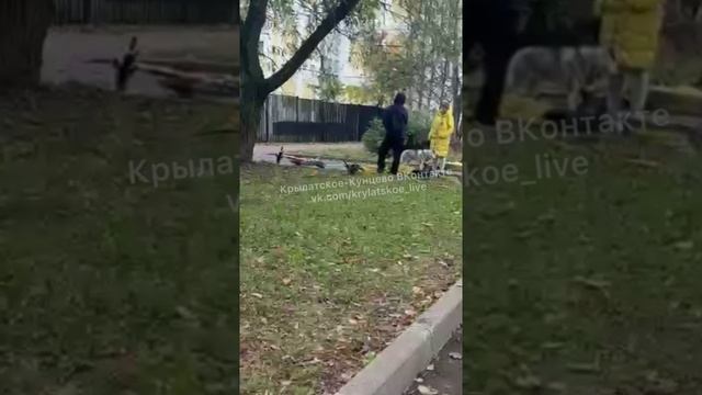 Кого-то достали самокаты возле школы 1371 на ул. Крылатские холмы 🤷♀️