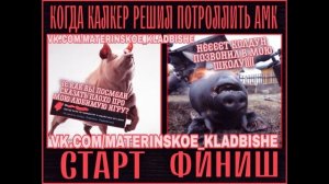 Мудрая ГОСПАРТИЯ АМК И ВЕЛИКИЙ ИОСИФ САОНОВ!