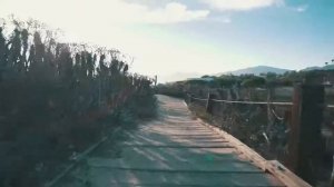 Сергей Завьялов  “Я так люблю её “  ⁄2018 ⁄ Влдмр37