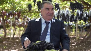 Эмомали Рахмон открыл новые объекты в Турсунзаде и посетил виноградарские хозяйства