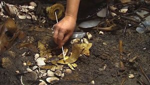 История про клад найденный в Сочи  (Невероятная находка в Дагомысе)