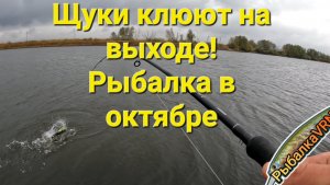 Рыбалка на спиннинг в октябре 4