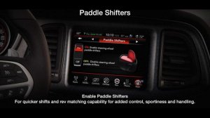 What is Super Track Pak and Performance Pages?