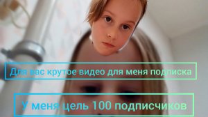 цель 100 подписчиков