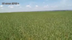 Кольцевая борона БКС 8
