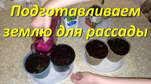 Подготавливаем Землю Для Рассады
