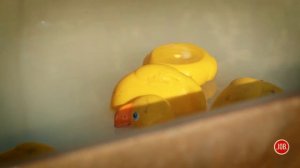 НАСКАР НА ТРАКТОРАХ / Рулевые игры #2 / кто последний приедет - получит наказание