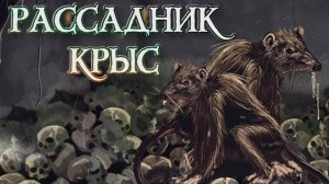 Wartales➤Рассадник Крыс