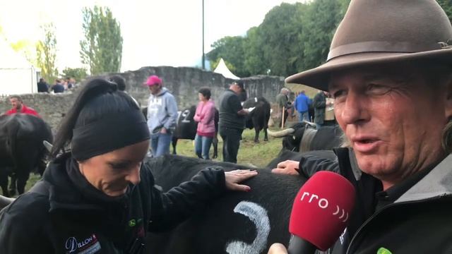 Comptoir 2017: Interview mit Eringerzüchter Patrick Dillon. смотреть онлайн