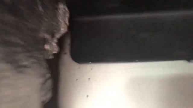 Aston Martin Test Day! Perfect way to kickstart the weekend 🏁 смотреть онлайн