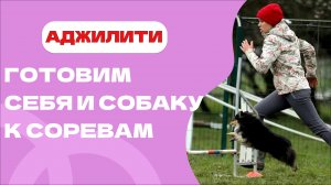 Аджилити: идеальная подготовка до, во время и после соревнований