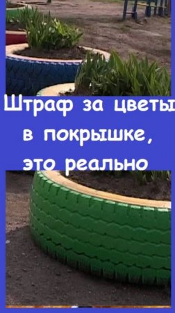 Штрафы за выращивание цветов в автопокрышках стали реальностью, будьте внимательны!