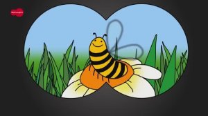 Animals for Kids - English for Children - English for Kids