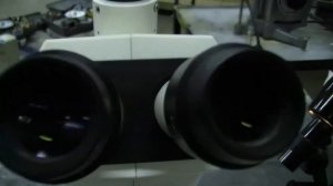 Zeiss Stemi 2000 C Stereo Microscope