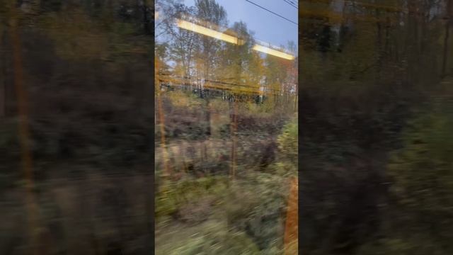 Рабочая поездка на общественном транспорте из Москвы в Шаховскую