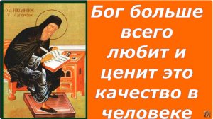 За это Бог больше всего Любит и Ценит человека. Без этого нет Спасения /Прп. Никодима Святогорца