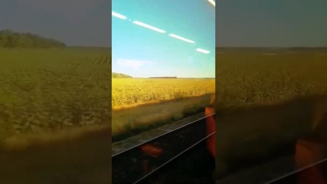 Железная дорога, ржд, безкрайние поля #shorts