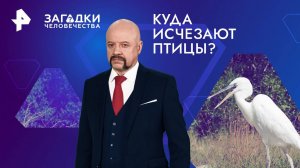 Куда исчезают птицы? — Загадки человечества с Олегом Шишкиным (18.10.2024)