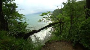 СЕМЬЯ ОТШЕЛЬНИКОВ в горах Туапсе. НА НИХ ВЫШЕЛ ДИКИЙ ЗВЕРЬ. Скала Киселево ОПАСНЫЙ СПУСК С ДЕТЬМИ.