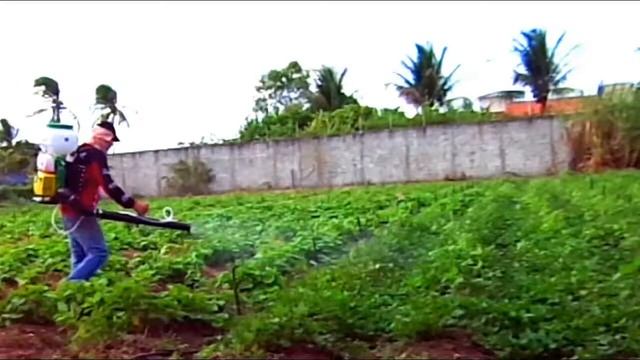 MIST BLOWER - atomiser spraying - powerful engine - electric motor смотреть онлайн