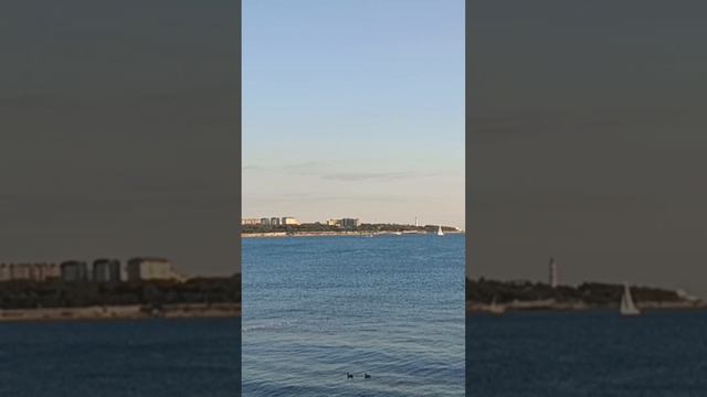 Море в Геленджике на Приморском бульваре 🚶 ASMR #Прогулка