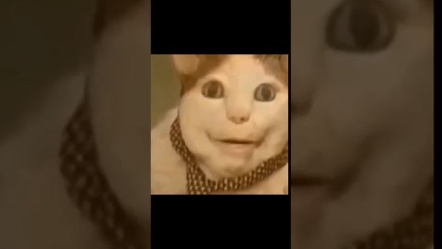 мем